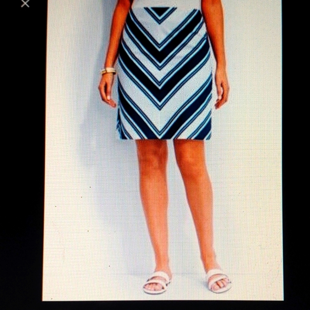 Talbots Chevron Skirt